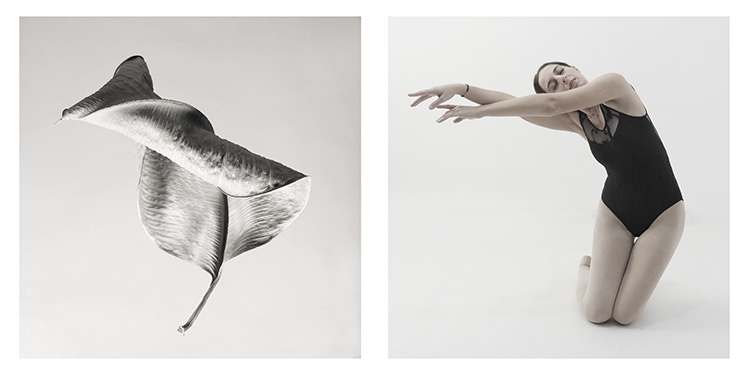 Konstans Zafeiri, greek fine art  photographer, awarded artist,  limited edition photography