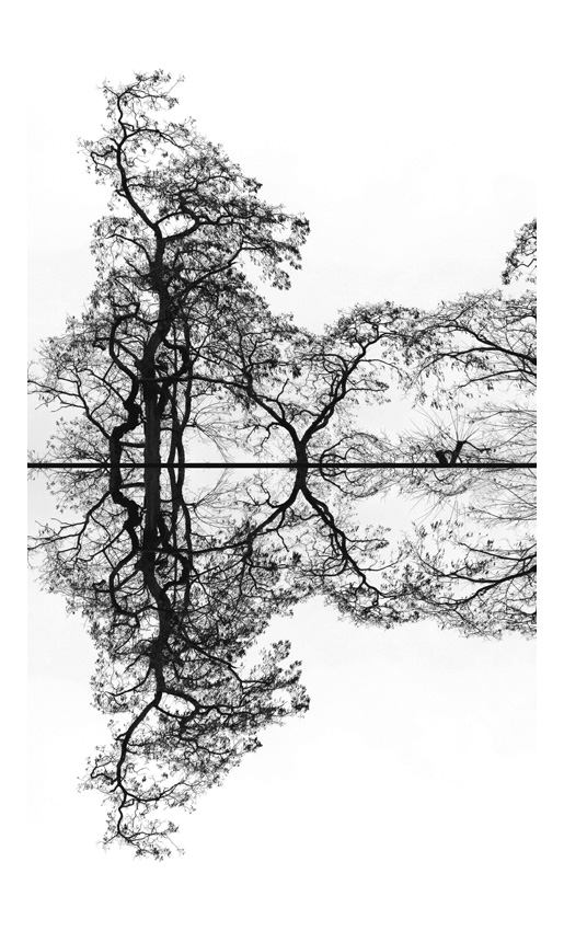 Konstans Zafeiri, greek fine art  photographer, awarded artist, mirroring, limited edition photography