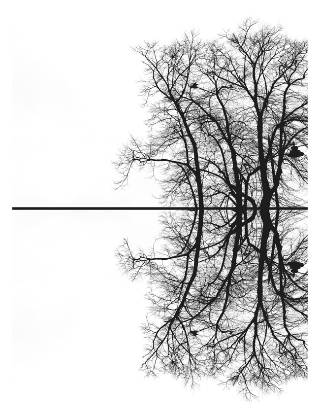 Konstans Zafeiri, greek fine art  photographer, awarded artist, mirroring, limited edition photography