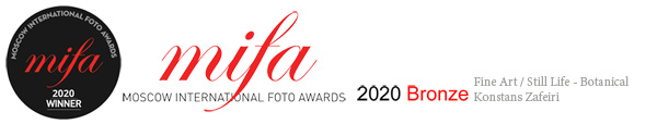 Moscow International Foto Awards 2020 - 'Botanical' - Bronze - Fine Art - Still Life