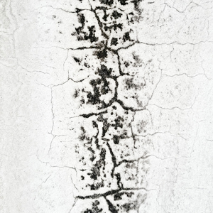 Abstract' - Inlenso fine art photography - Konstans Zafeiri 