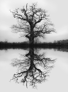 mirroring - Inlenso fine art photography - Konstans Zafeiri 